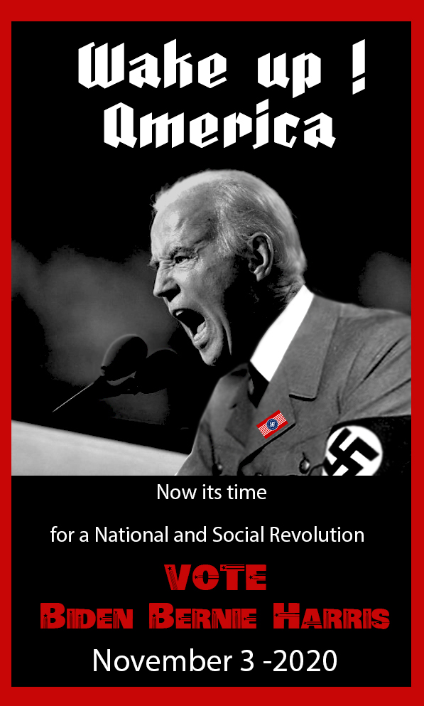 Vote for Biden 